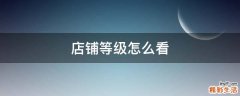 店铺等级怎么看