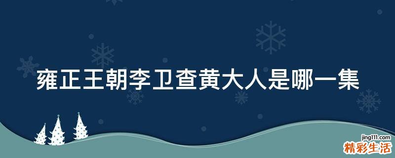 雍正王朝李卫查黄大人是哪一集