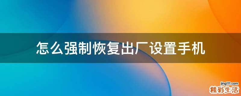 怎么强制恢复出厂设置手机