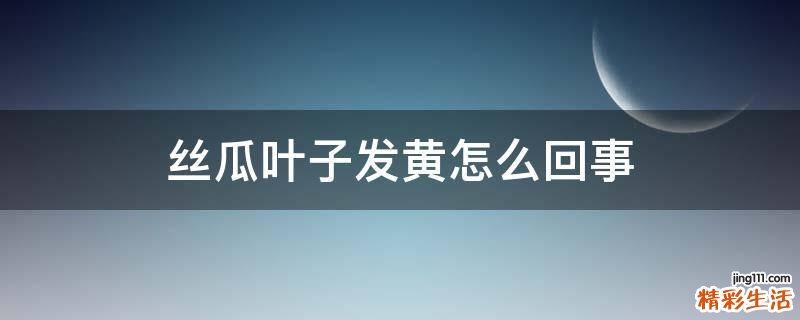 丝瓜叶子发黄怎么回事