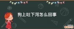 狗上吐下泻怎么回事