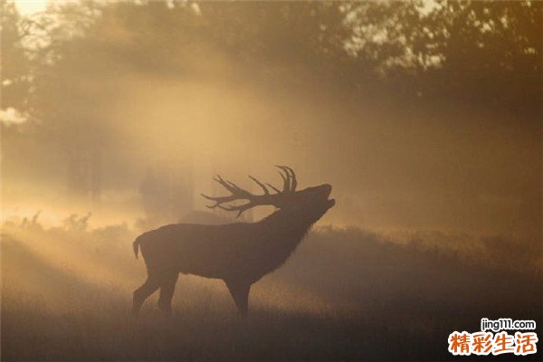 3 警惕七心理诱因偷走女人幸福