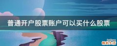 普通开户股票账户可以买什么股票