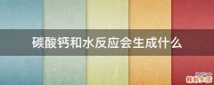 碳酸钙和水反应会生成什么