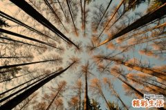 头发护理全攻略_攻略是什么