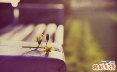 如何拥有迷人发质_拥有迷人发质的方法