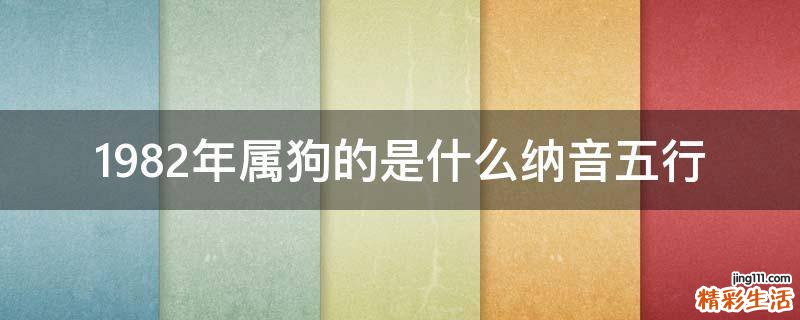 1982年属狗的是什么纳音五行