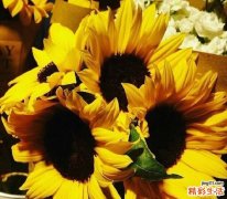 如何做宝宝的“牙医”妈妈
