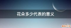花朵多少代表的意义