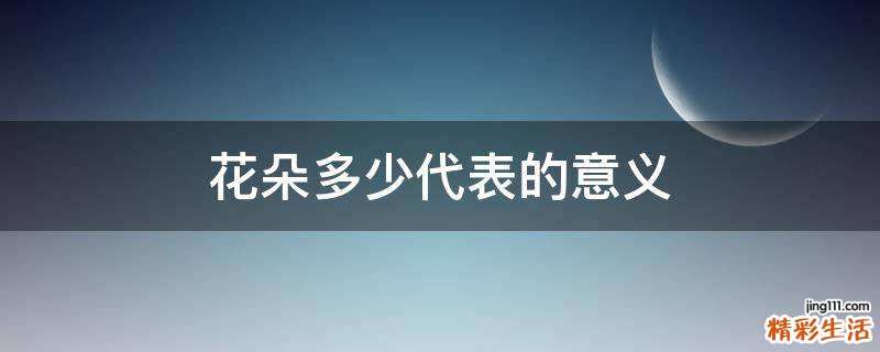 花朵多少代表的意义