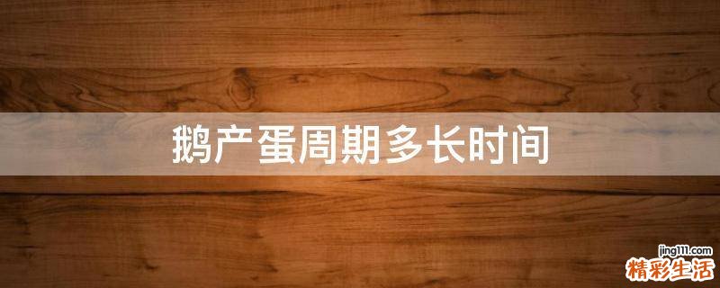 鹅产蛋周期多长时间