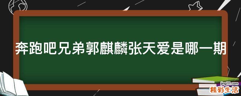 奔跑吧兄弟郭麒麟张天爱是哪一期
