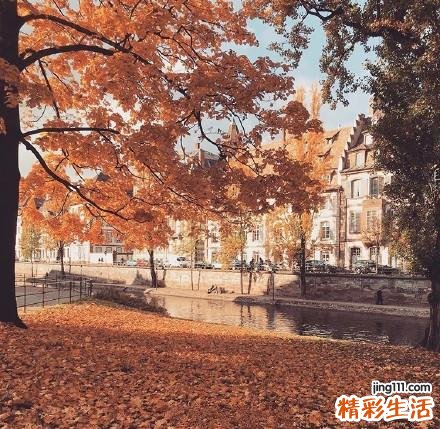 腱反射消失的原因_腱反射消失是怎么引起的