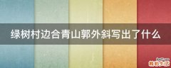 绿树村边合青山郭外斜写出了什么