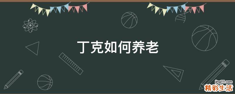 丁克如何养老