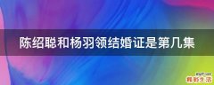 陈绍聪和杨羽领结婚证是第几集