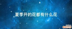 夏季开的花都有什么花