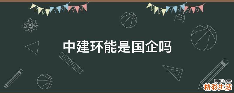 中建环能是国企吗