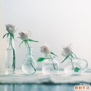 【橄榄油有什么功效】橄榄油护肤护发抗衰老的神奇妙用