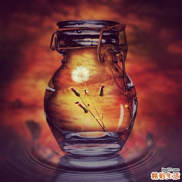 【常吃水果能否抗皱】常吃哪些水果能抗皱