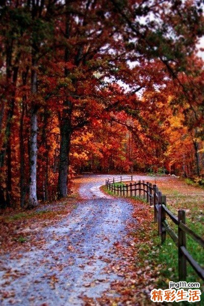 中枢性耳聋是怎么回事？