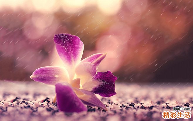 【有助于抗皱养颜的水果】有助于抗皱养颜的水果有哪些？