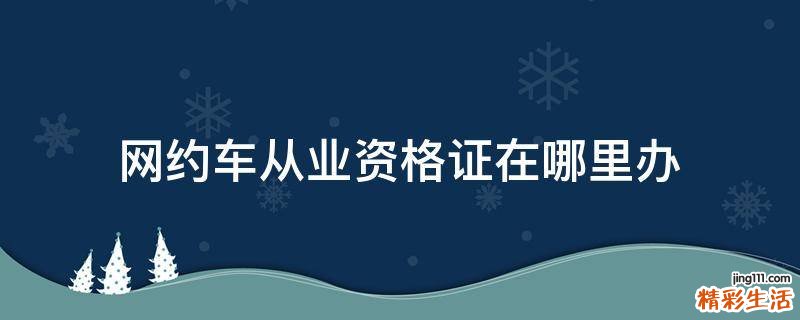 网约车从业资格证在哪里办