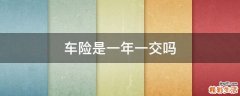 车险是一年一交吗