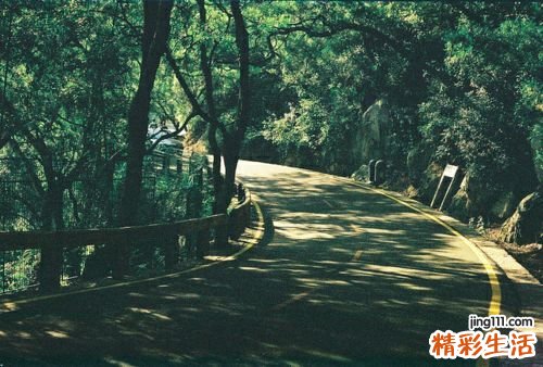 寒湿脚气