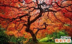 5 10方法摆脱抑郁症