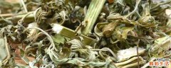 益母草可以治疗宫寒吗 宫寒可以喝益母草吗