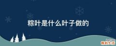 粽叶是什么叶子做的