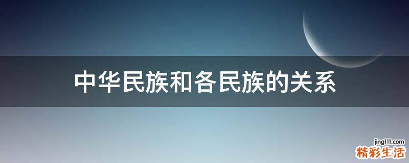 中华民族和各民族的关系