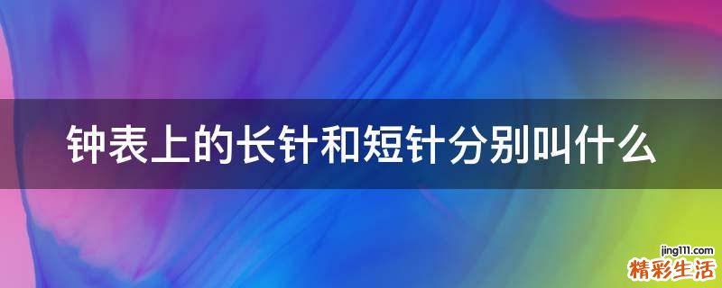 钟表上的长针和短针分别叫什么