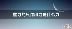 重力的反作用力是什么力