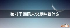猪对于回民来说意味着什么