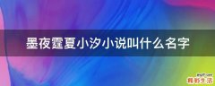 墨夜霆夏小汐小说叫什么名字