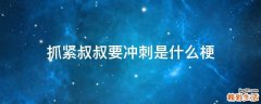 抓紧叔叔要冲刺是什么梗