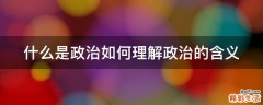 什么是政治如何理解政治的含义