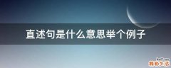直述句是什么意思举个例子