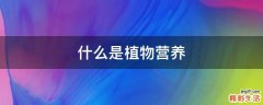 什么是植物营养
