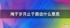 掩于岁月止于唇齿什么意思