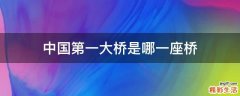 中国第一大桥是哪一座桥