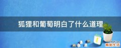 狐狸和葡萄明白了什么道理