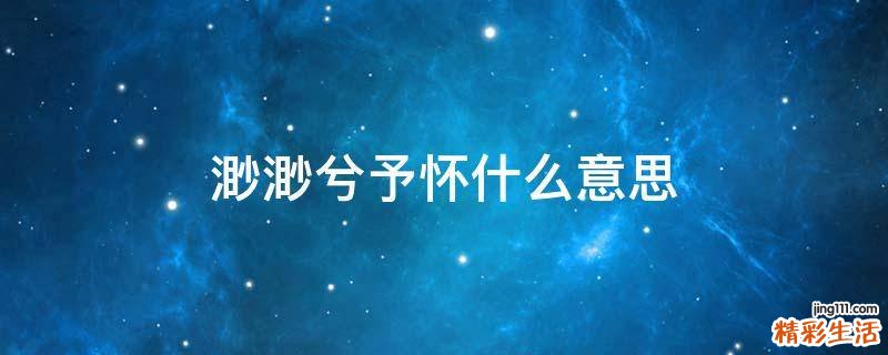 渺渺兮予怀什么意思