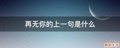再无你的上一句是什么