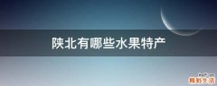 陕北有哪些水果特产
