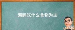 海鸥吃什么食物为主