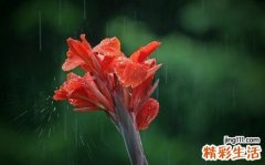 如何按摩护发_护发按摩全攻略