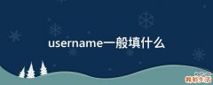 username一般填什么